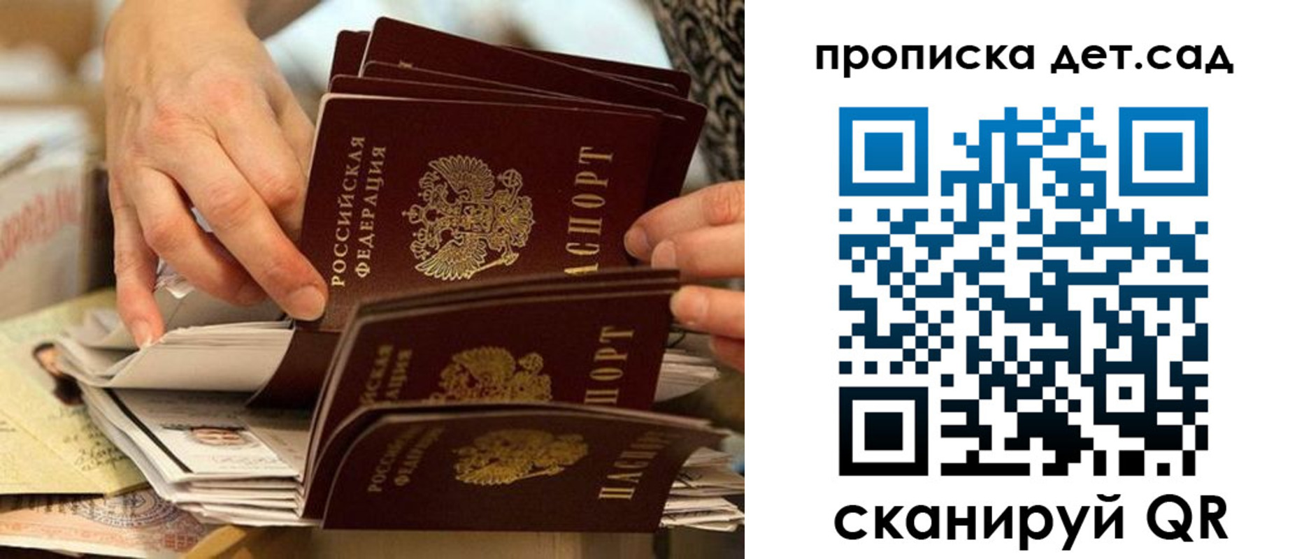 временная регистрация поиск в Светлом