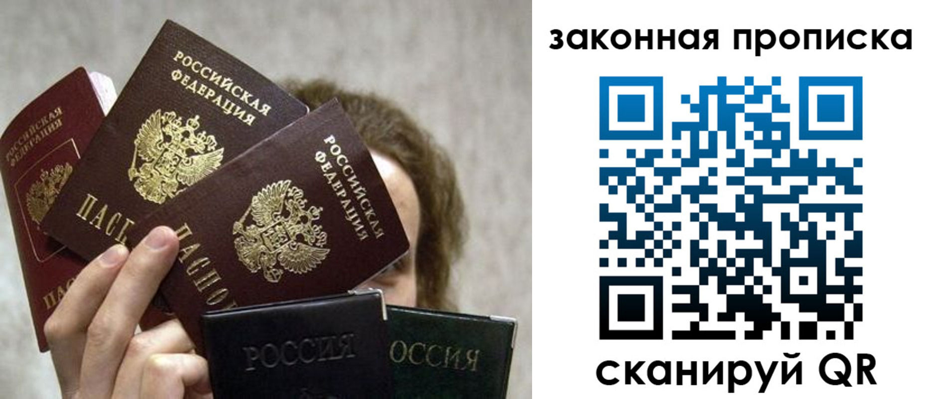 прописка законно в Светлом